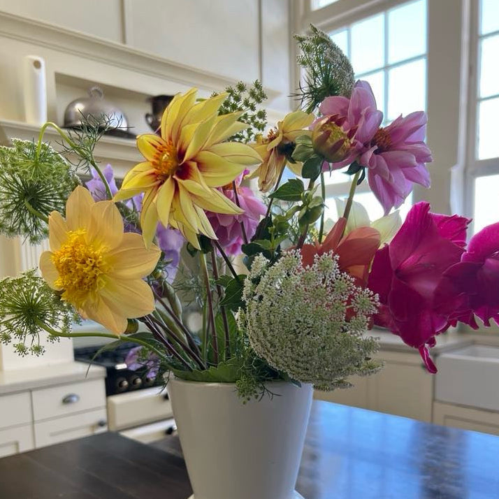 Dahlia Tubers - Mystery box (3 tubers)